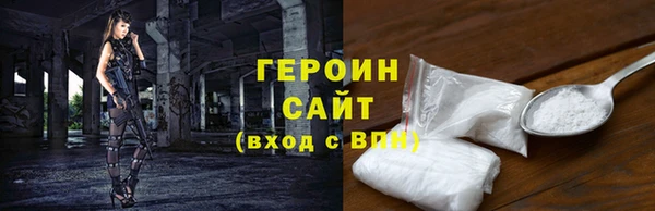 дживик Ельня