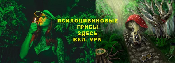 гашик Кинешма