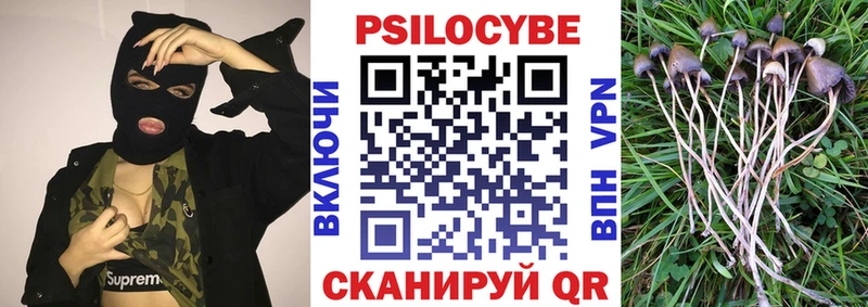 МЕГА tor Дмитриев Галлюциногенные грибы Psilocybe